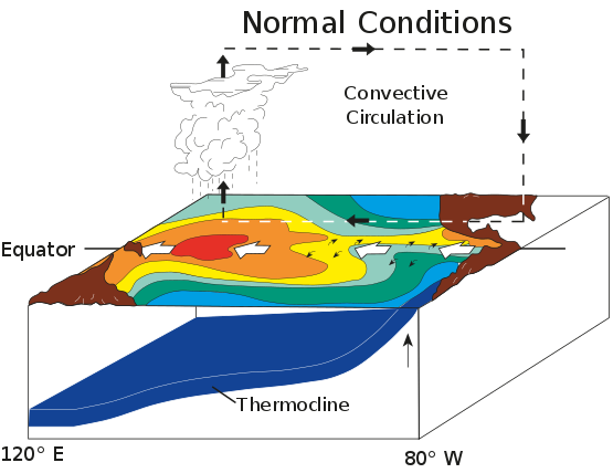 Abb. 1: ENSO – neutrale Phase, Quelle NOAA