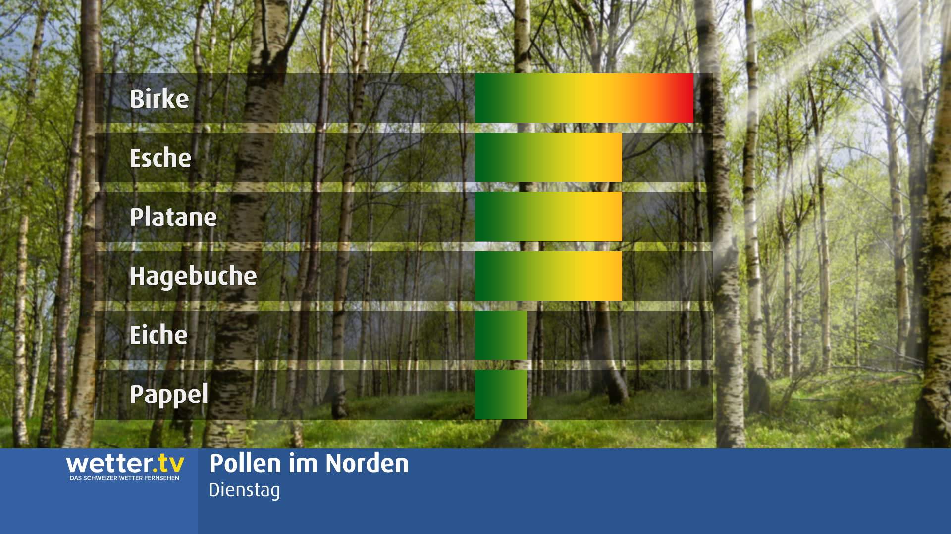 Abb. 1: Aktuelle Pollenkonzentrationen im Norden