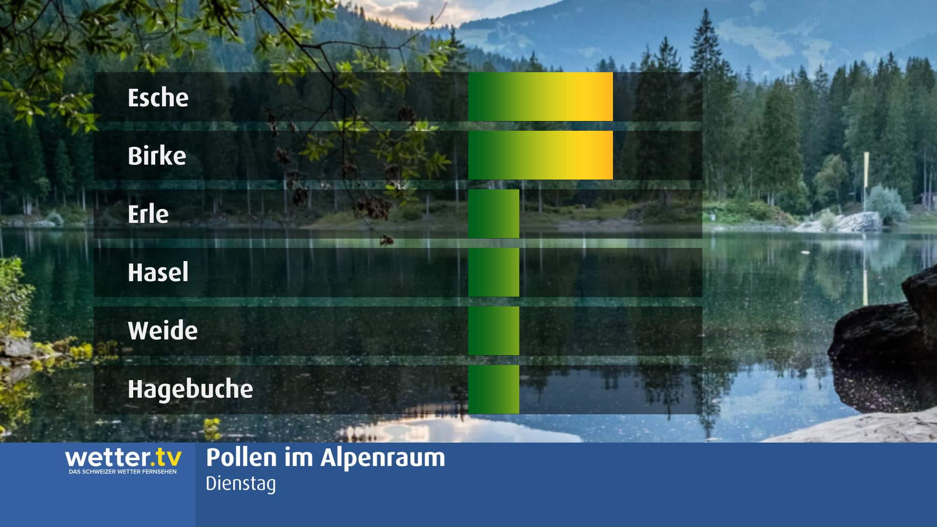 Abb. 3: Aktuelle Pollenkonzentrationen in den Alpen