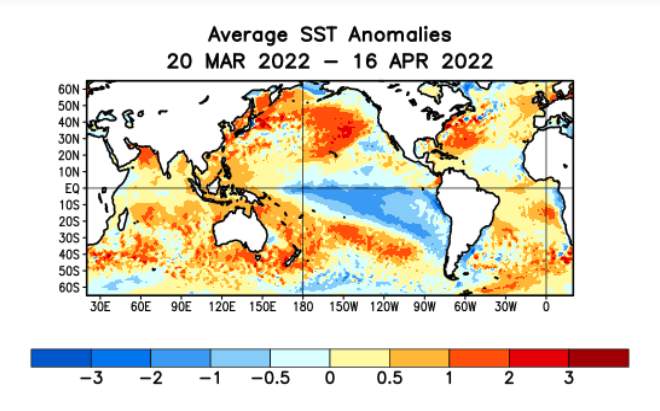 Abb. 1: Temperaturanomalie des Oberflächenwassers, La Niña im Pazifik (Quelle: NOAA)