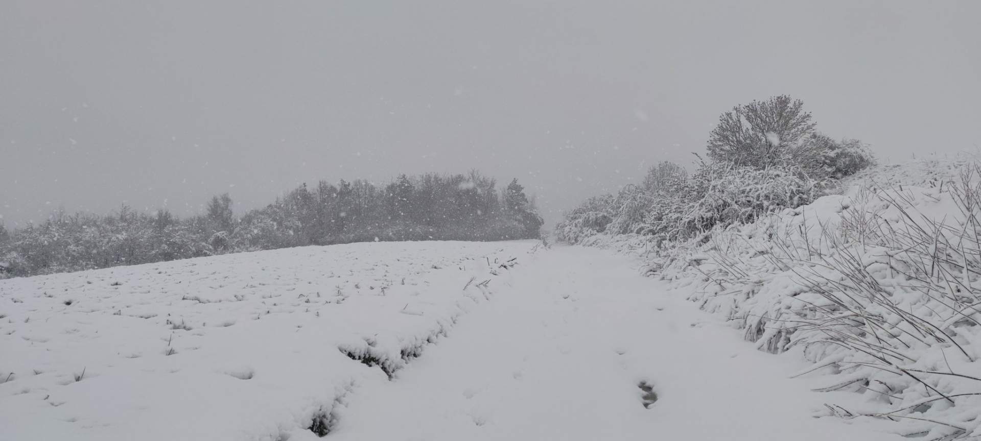 Fig. 2: Abondantes chutes de neige près de Saint-Omer dans le Pas-de-Calais avec plus de 10-15cm au sol en fin de matinée du 1er avril 2022 - Photographie : @Land62100