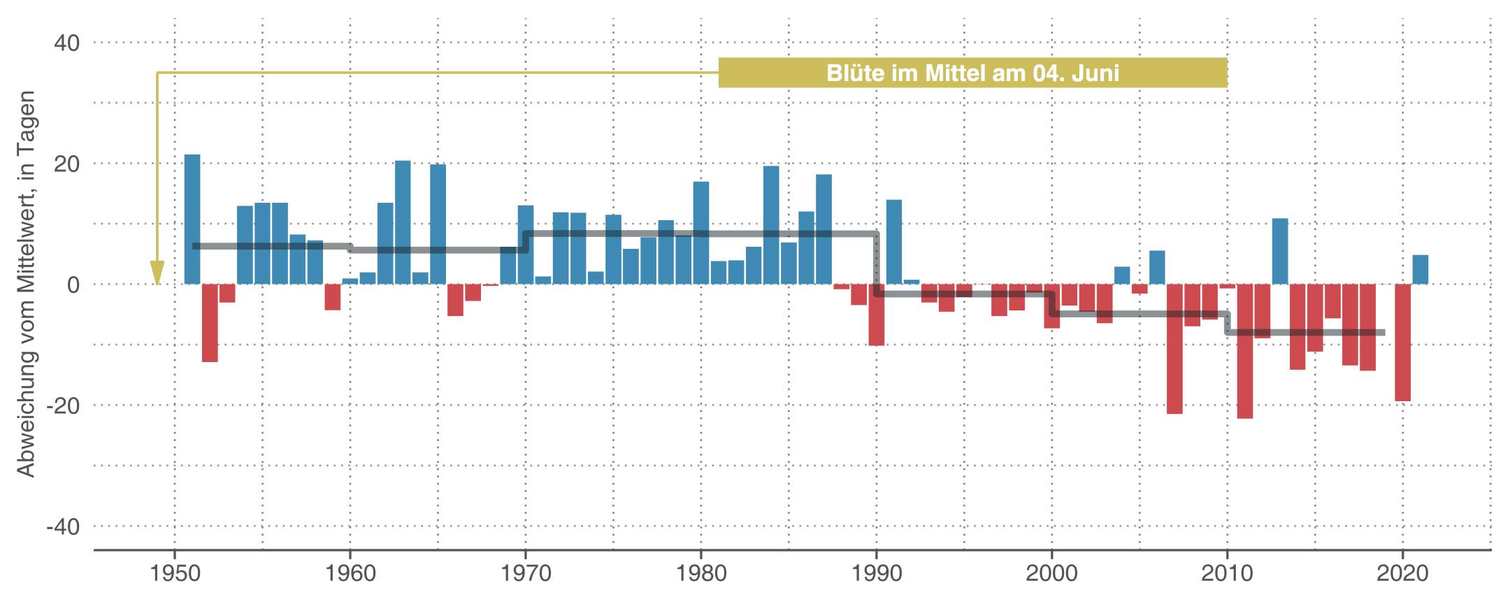 Abb. 6: Zeitpunkt der Holunderblüte in Rafz 1952-2021 im Vergleich zum langjährigen Mittel (Quelle: MeteoSchweiz)