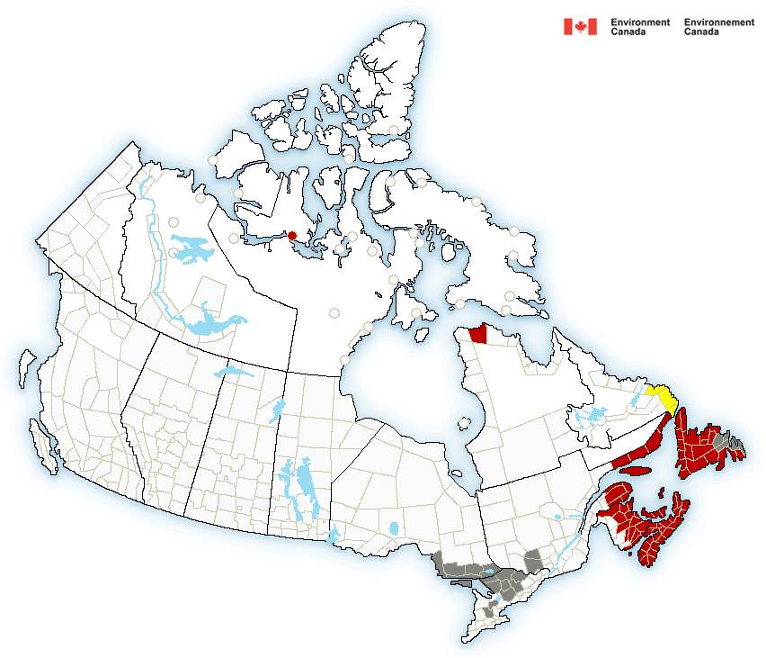 Abb. 3: Hurrikanwarnungen des kanadischen Hurrikandienstes (Quelle: ECCC)