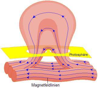 Fig. 1: Structure des lignes de champ magnétique dans la zone des taches solaires; Source: Wikipedia
