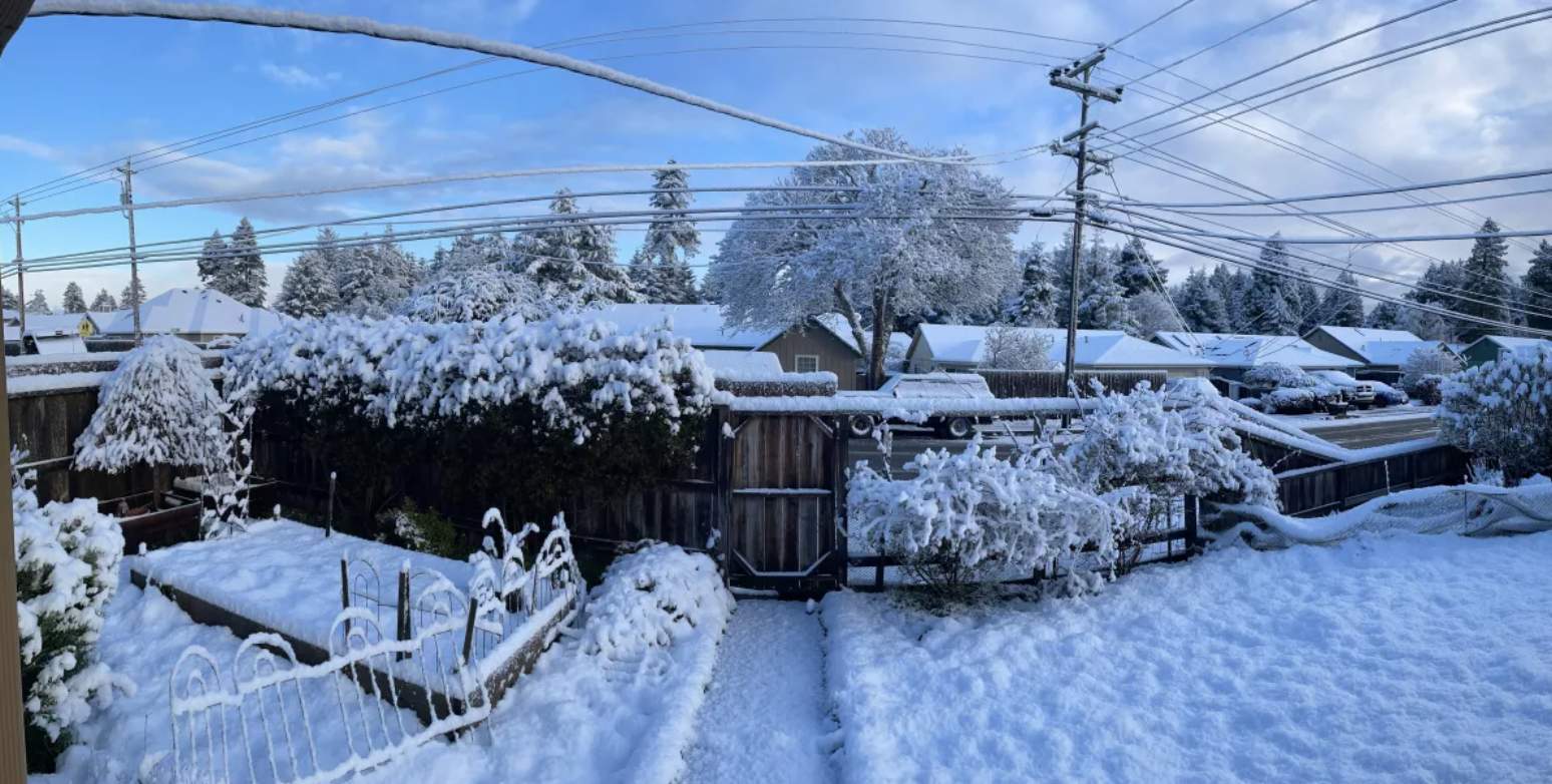 Abb. 1: Schnee in Eureka, Kalifornien, Donnerstag; Quelle: Max Garrison, Los Angeles Time