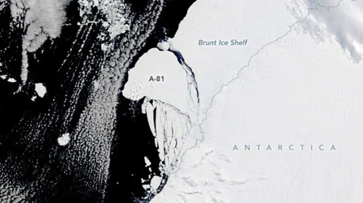 Fig. 1: Satellite images show giant iceberg A81 breaking away from Brunt ice shelf; Source: www.nasa.gov/