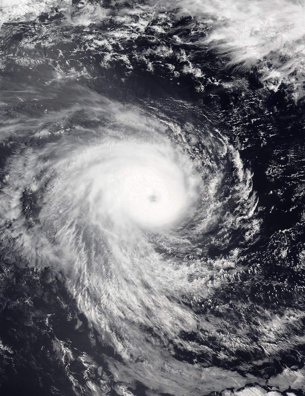 Abb. 7: Zyklon Freddy am 12. Februar über dem westindischen Ozean; Quelle: Wikipedia