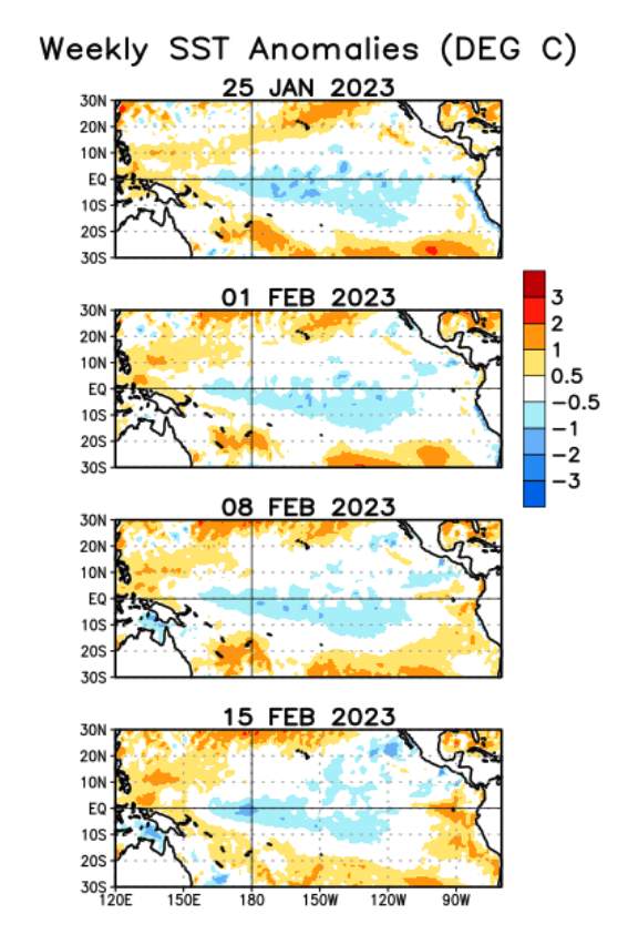 Fig. 1: Weekly anomaly in surface water temperature in the Pacific Ocean. Recent onset of warming in the East Pacific.; Source: NOAA
