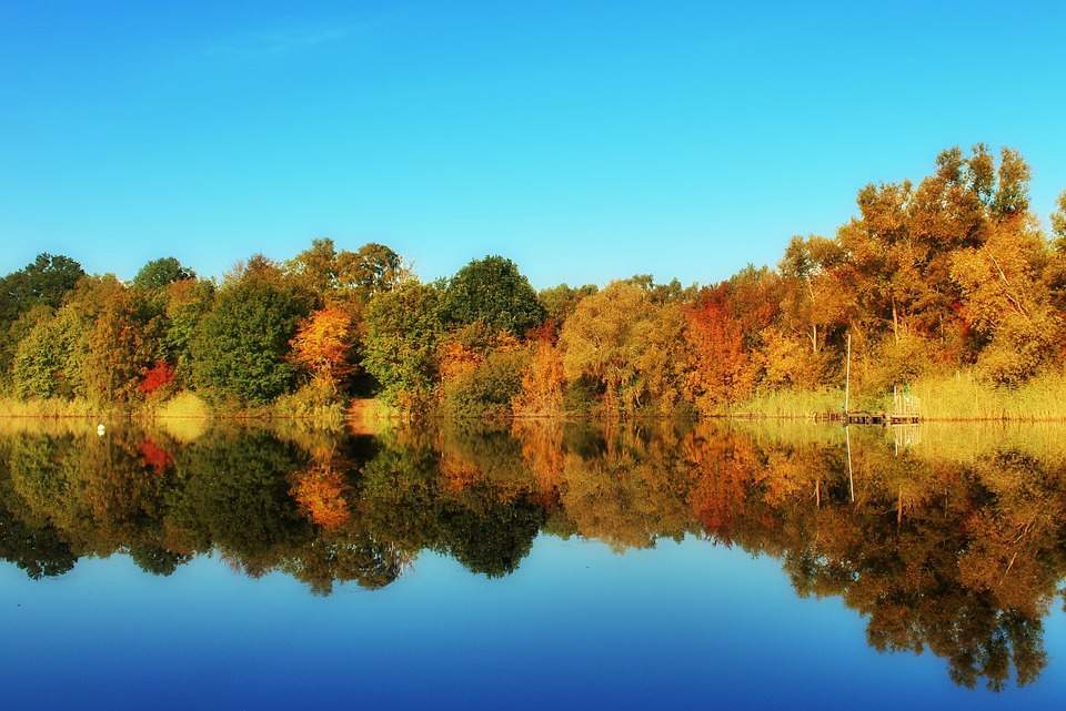 Abb. 1: Herrliche herbstliche Laubverfärbung am Ufer eines Sees; Quelle: pixabay