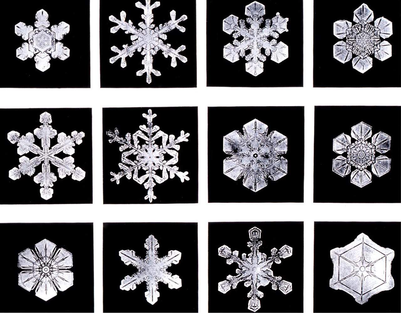 Fig. 2: Example of different snow crystals; Source: Wikipedia