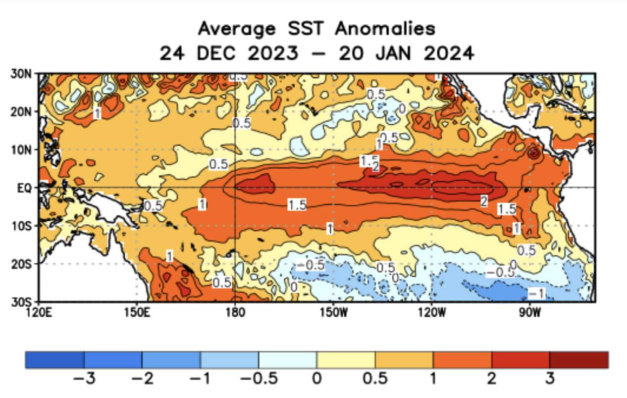 Fig. 1: El Nino ce mois de janvier 2024; Source: NOAA