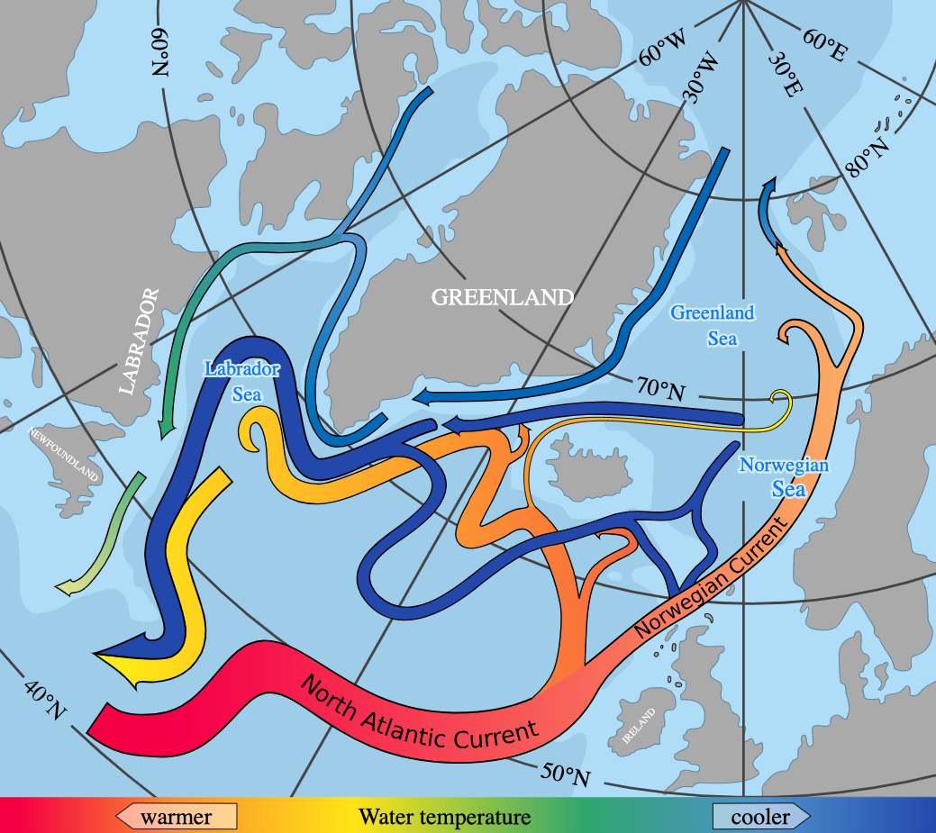 Abb. 1: Verlauf der grossräumigen Meeresströmungen im nördlichen Atlantik; Quelle: Wikipedia