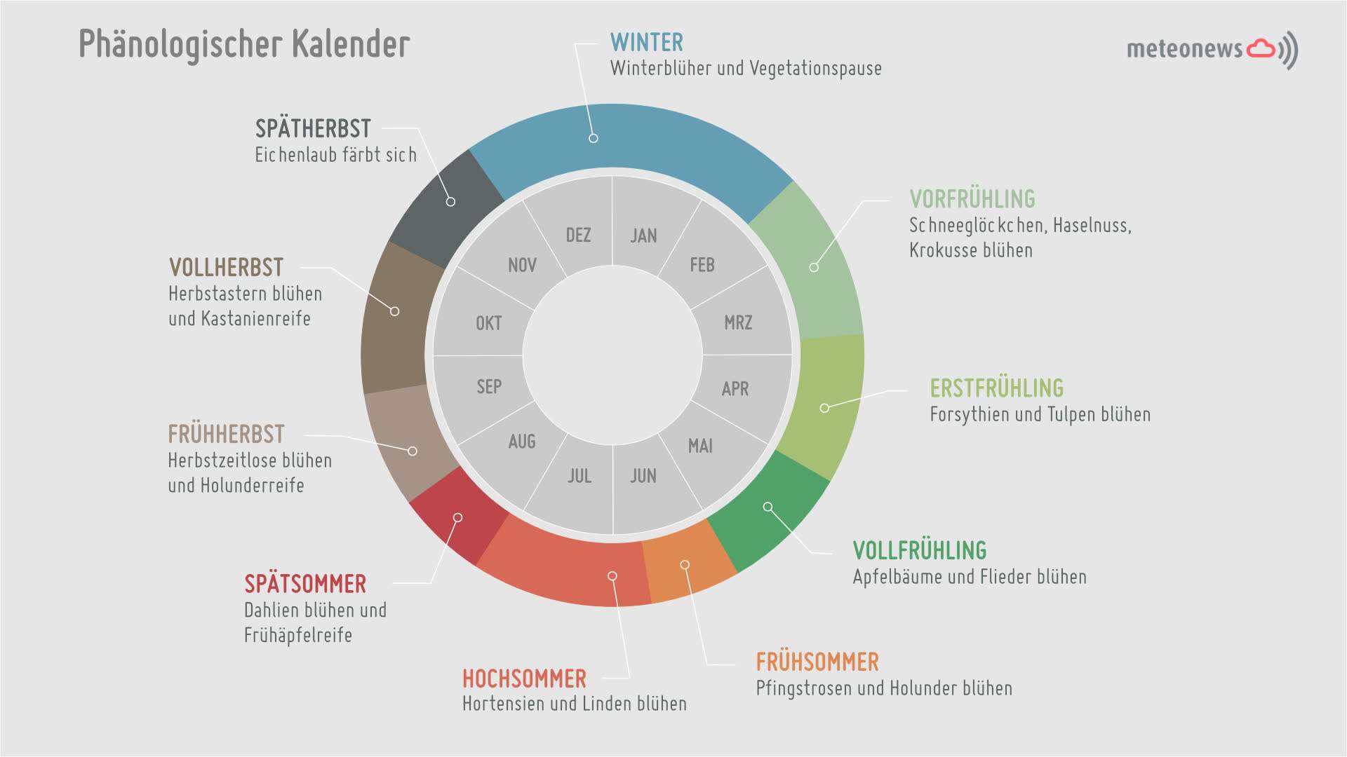 Abb. 3: Phänologischer Kalender der Schweiz mit den entsprechenden Zeigerarten; Quelle: MeteoNews