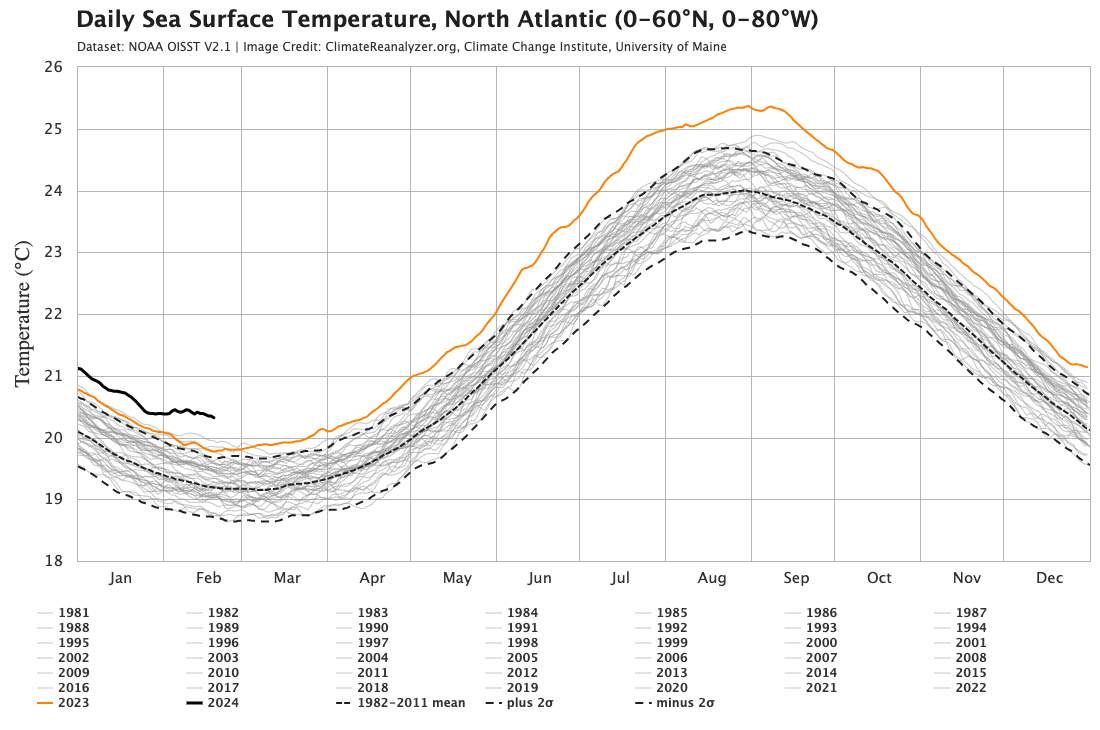 Abb. 1: Durchschnittliche Meeresoberflächentemperatur im Nordatlanik im Vergleich mit den Jahren seit 1981; Quelle: climatereanalyzer