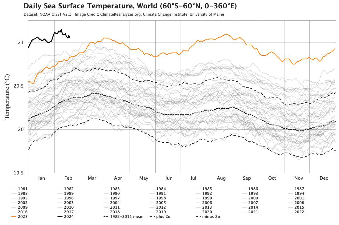 Fig. 3: Average sea surface temperature in the North Atlantic compared with the years since 1981; Source: climatereanalyzer