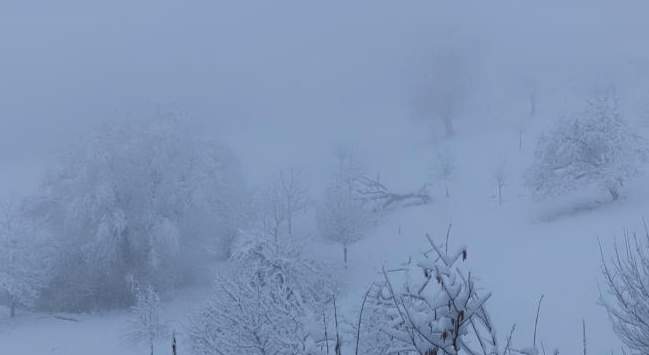 Fig. 2: Snow this morning in Schenkon (580 m); Source: roundshot