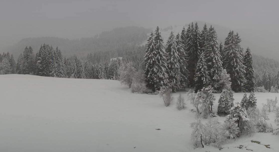 Fig. 7: Snow this morning on the Wolzenalp (1100 m); Source: roundshot