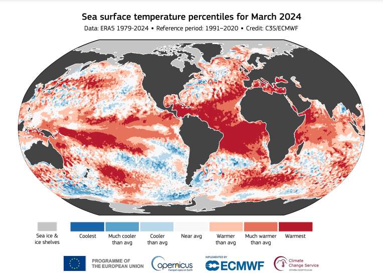 Fig. 4: Percentile de température de surface de la mer pour mars 2024; Source: Copernicus