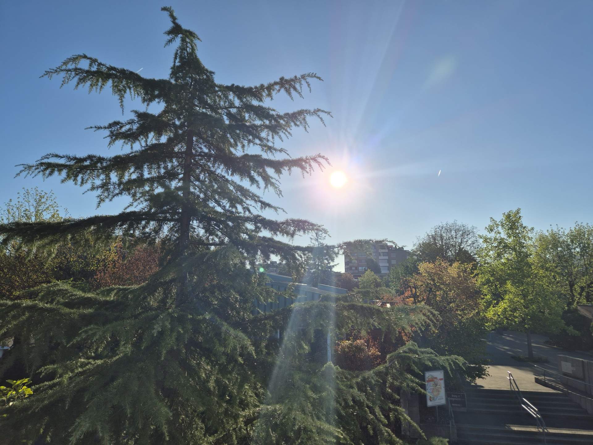Sunny year in Switzerland: Records reached even before the end of the year