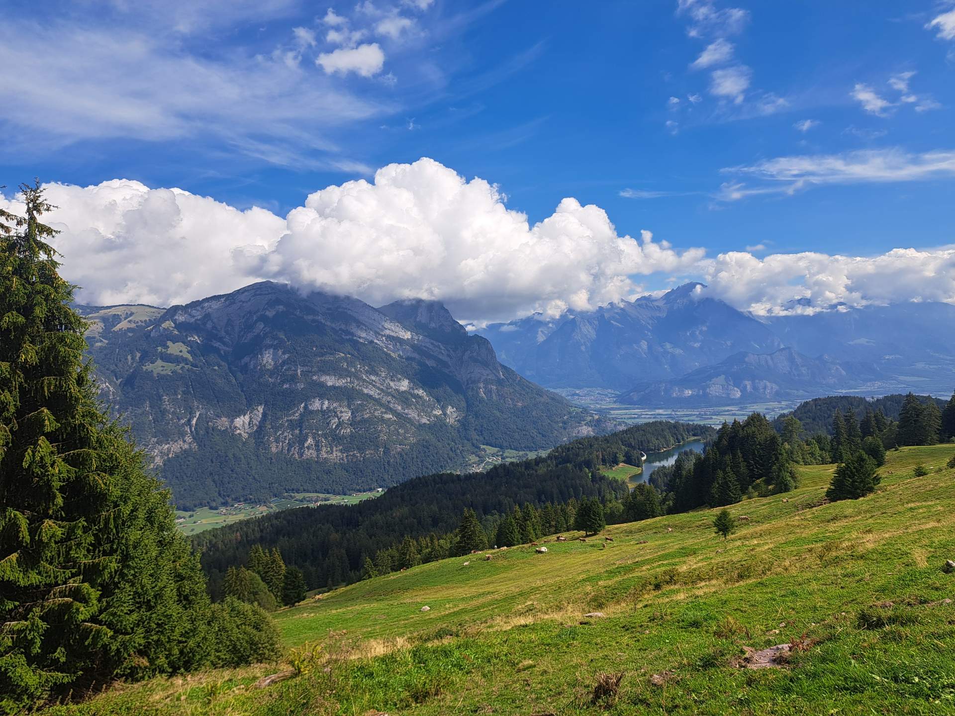 climat Suisse: MISE À JOUR : DEUXIÈME SEPTEMBRE LE PLUS CHAUD ET LE PLUS SEC DEPUIS LE DÉBUT DES MESURES